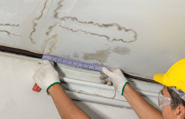 Affordable Ceiling Water Damage Repair solutions in Mount Gay, WV